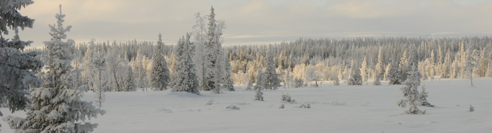 Galå Fjällgård panorama