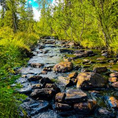 Styggbäcken längs naturstigen 