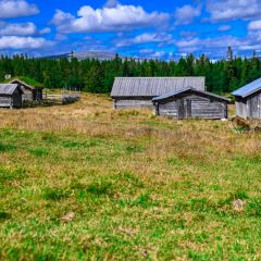 Mountainbiketur till Ljåbodarnas fäbodvall