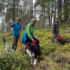 Vandring och blåbärsplockning på Galberget