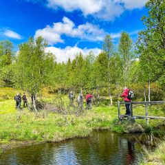 Vandring till Ljåbodarna