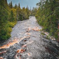 Der viele Regen hat unseren kleinen Bach zu einem reißenden Fluss anschwellen lassen