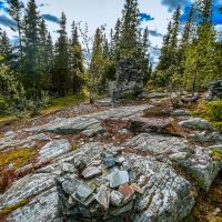 Der Gipfel rund um den Predikstolen ist felsig und ein beliebtes Ausflugsziel direkt vom Ferienhaus aus