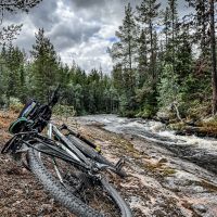 Auf einer unserer Mountainbike- und Fahrrad-Routen in Jämtland
