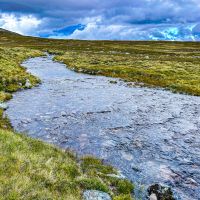 Der Sommer 2023 war sehr nass und es gab viel Wasser in den Bergen