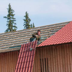 Dachdecken auf der Halle (2006)