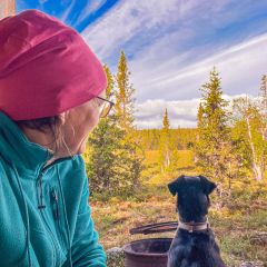 Zum Windschutz ist es ein schöner Weg für einen Hundespaziergang